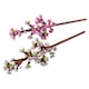 image 2 of LEGO Botanicals 40725 Cherry Blossoms