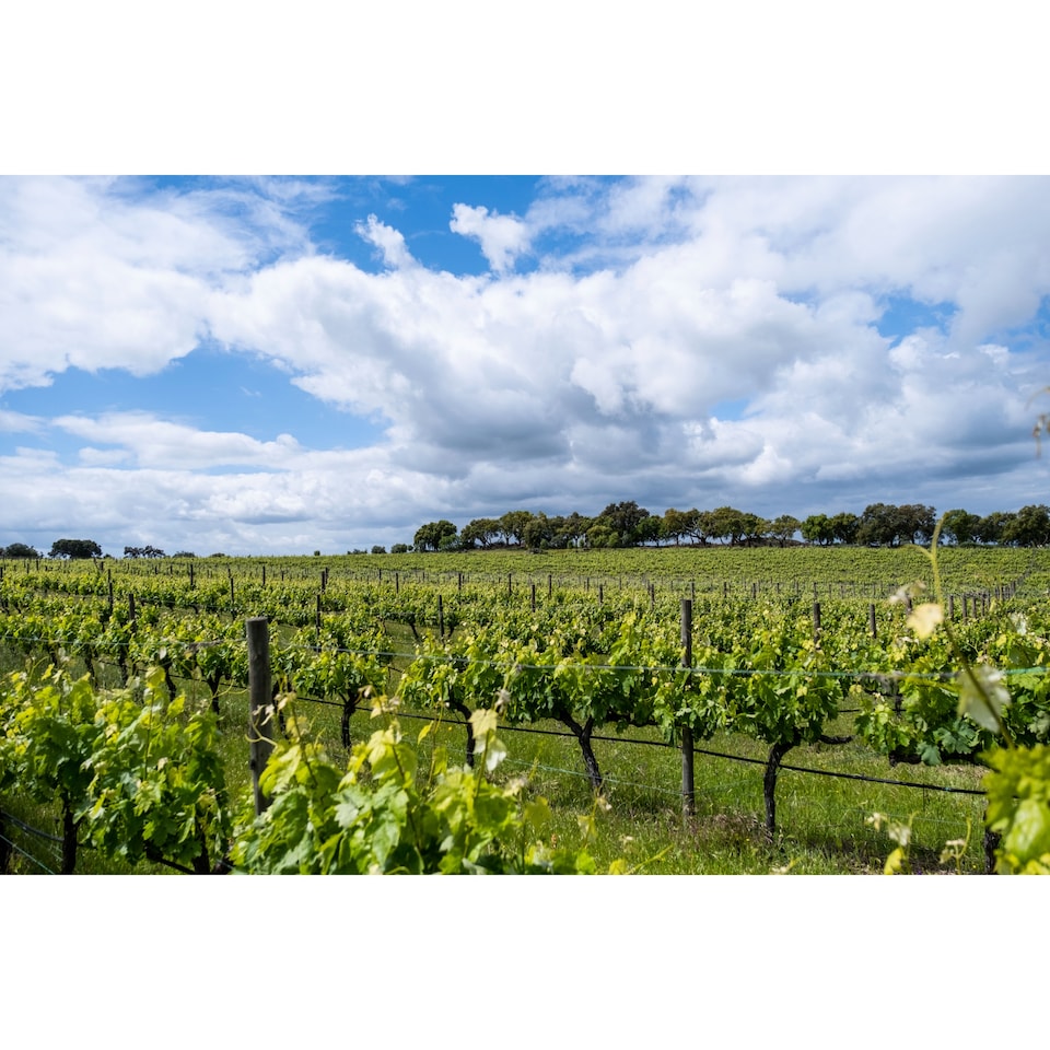 image 1 of Esporao Reserva Red Wine 750ml