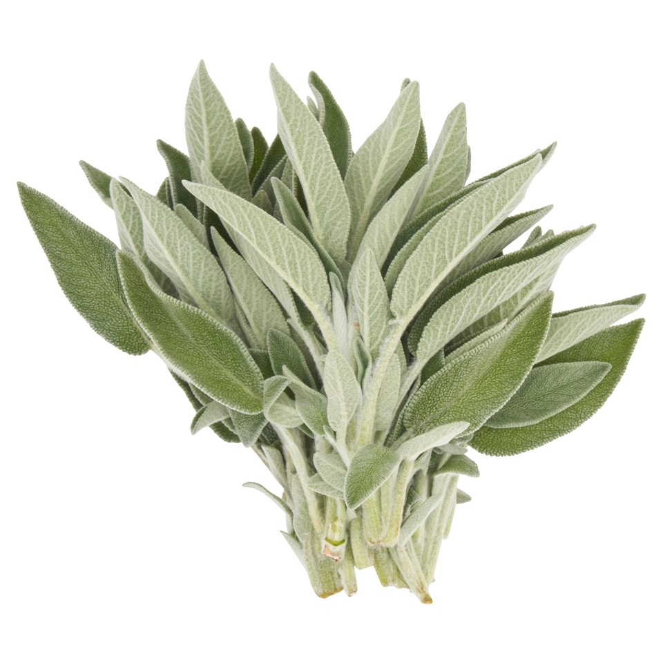 image 1 of Tesco Sage 20G