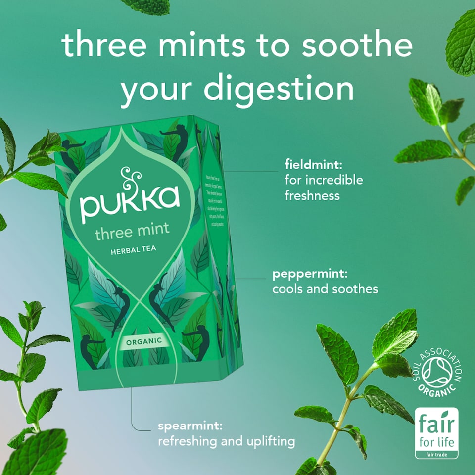 image 1 of Pukka Organic Three Mint 20 Tea Bags 32G