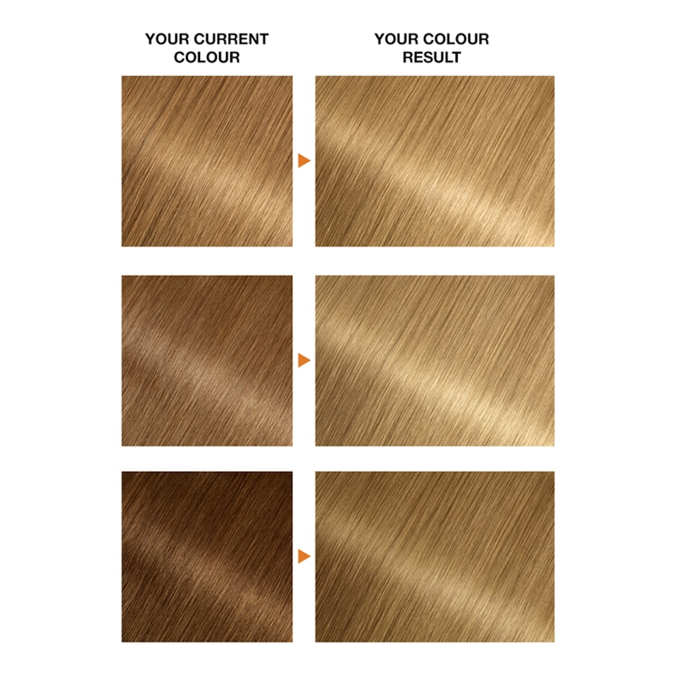 image 1 of Garnier Belle Colour 8.3 Natural Golden Blonde Permanent Hair Dye