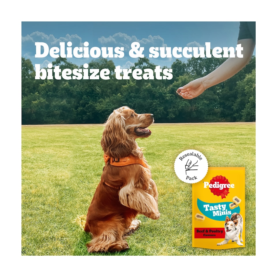 image 1 of Pedigree Tasty Minis Adult Dog Treat Slices Beef & Poultry 155g
