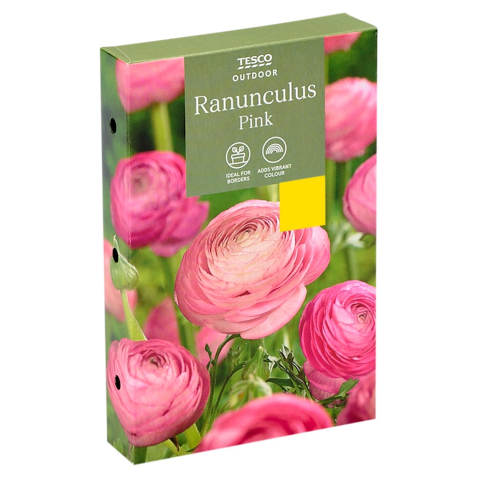 Tesco Ranunculus Pink