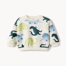 F&F Boys Cotton Rich Dinosaur Sweatshirt in Multi