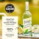 image 3 of Belvoir Elderflower Presse 75Cl (L)