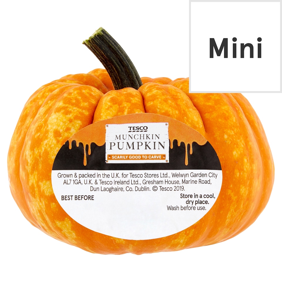 Tesco Munchkin Pumpkin Each
