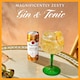 image 3 of Tanqueray Flor de Sevilla Gin & Tonic Ready to Drink Premix 250ml