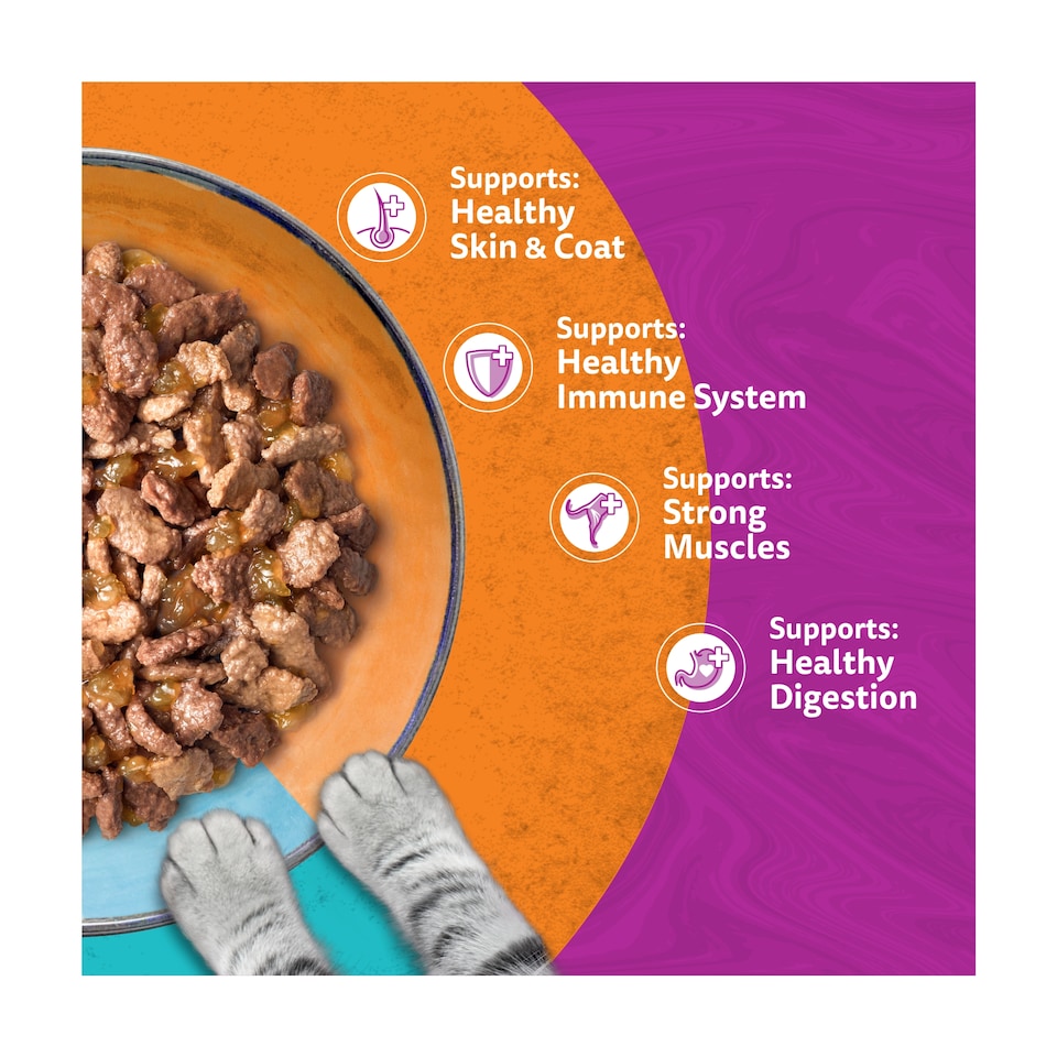 image 1 of Whiskas Duo Surf & Turf Adult Cat Food Pouches in Jelly 40x85g