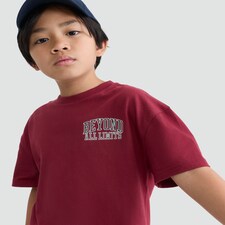F&F Boys Pure Cotton Slogan Short Sleeved T-Shirt in Burgundy