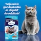 PreVital száraz macskaeledel, macskatáp felnőtt macskáknak tonhallal 1,4 kg  4. kép
