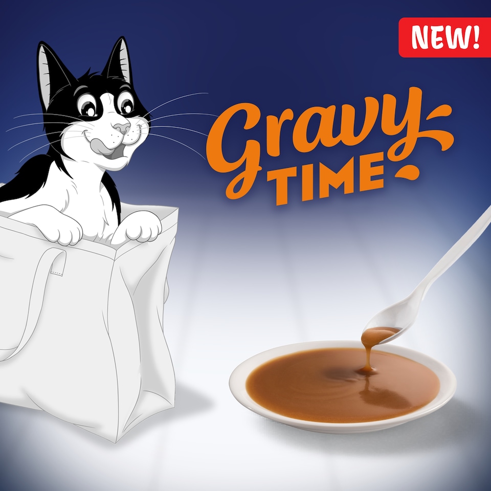 image 1 of FELIX Gravy Time Chicken and Salmon Wet Cat Food 6x40g