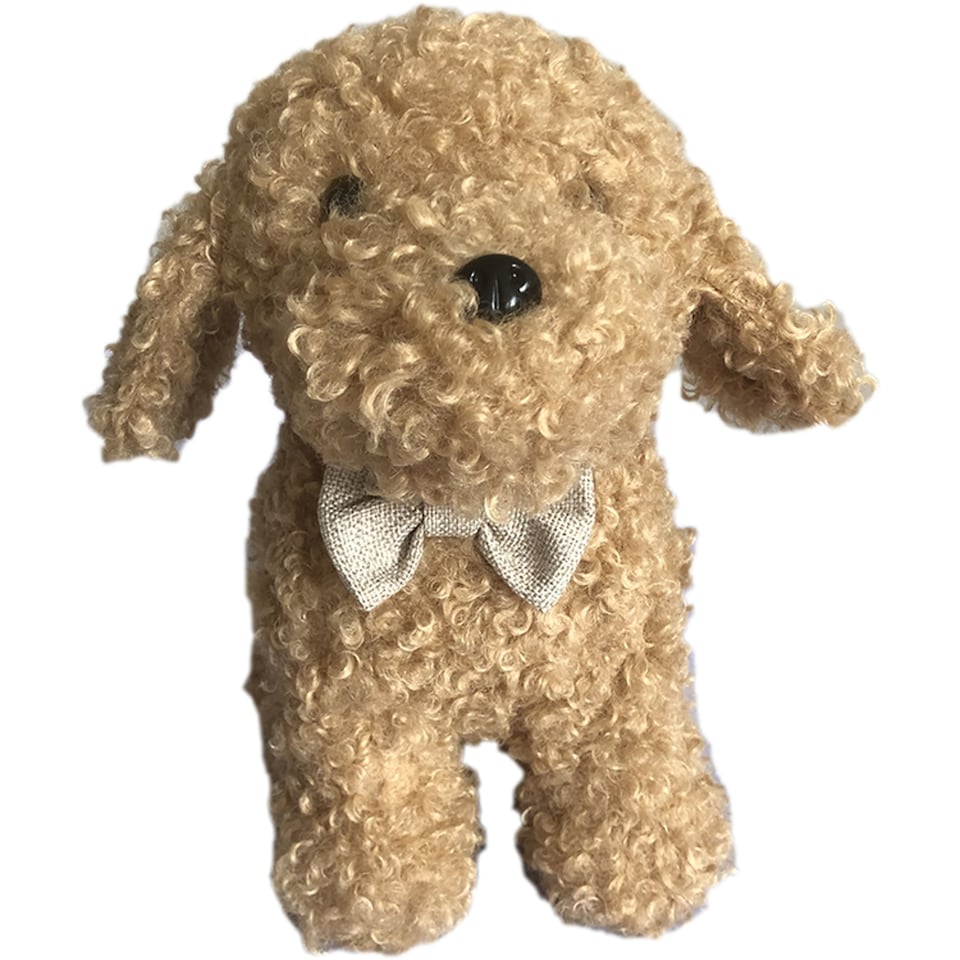 F&F Home Curtis The Cavapoo Doorstop