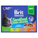 Obrázek 1 pro produkt Brit Premium by Nature Kompletní prémiové mokré krmivo pro kastrované kočky 12 x 100g (1200g)