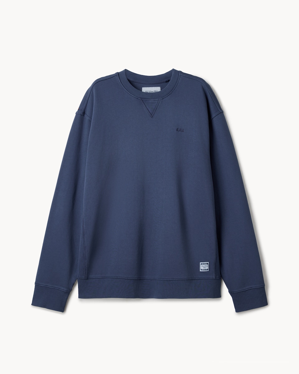 image 1 of RDA Pure Cotton Crew Neck Sweatshirt in Blue