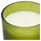 image 2 of F&F Home Apothecary Eucalyptus and Pine Needles Candle 140g