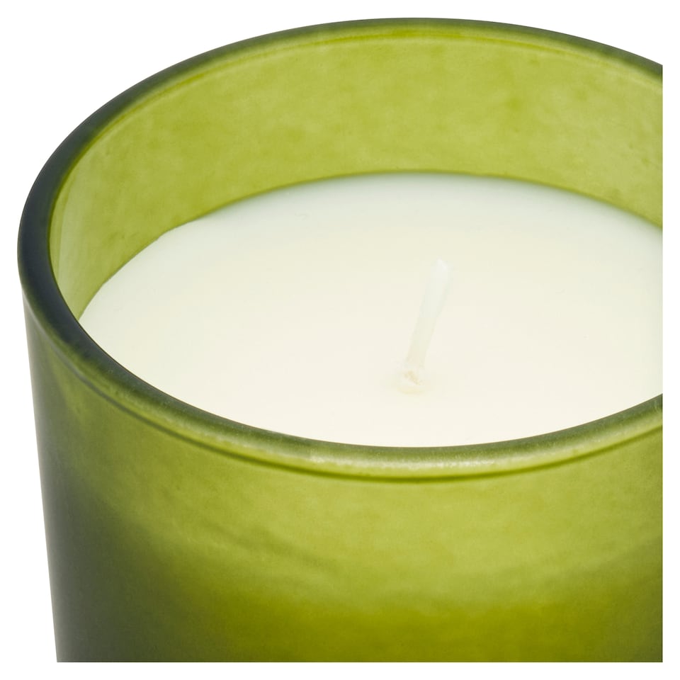 image 1 of F&F Home Apothecary Eucalyptus and Pine Needles Candle 140g