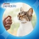 image 6 of DENTALIFE Dental Chicken Cat Treats 140g