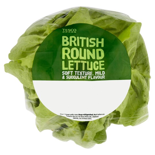 Tesco Standard Round Lettuce Each Tesco Groceries