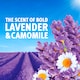 image 3 of Bold Gel Laundry Detergent - Lavender & Camomile 40 Washes 1.32L
