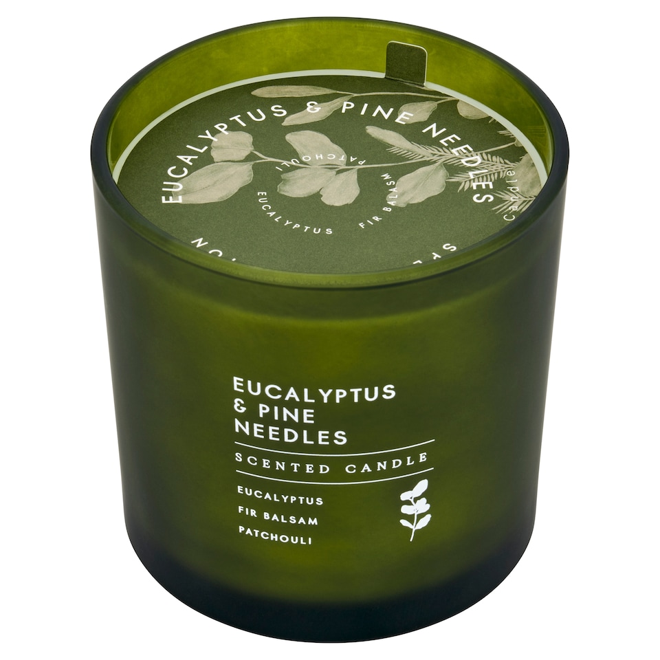 image 1 of F&F Home Apothecary Eucalyptus & Pine Needles Candle 650g