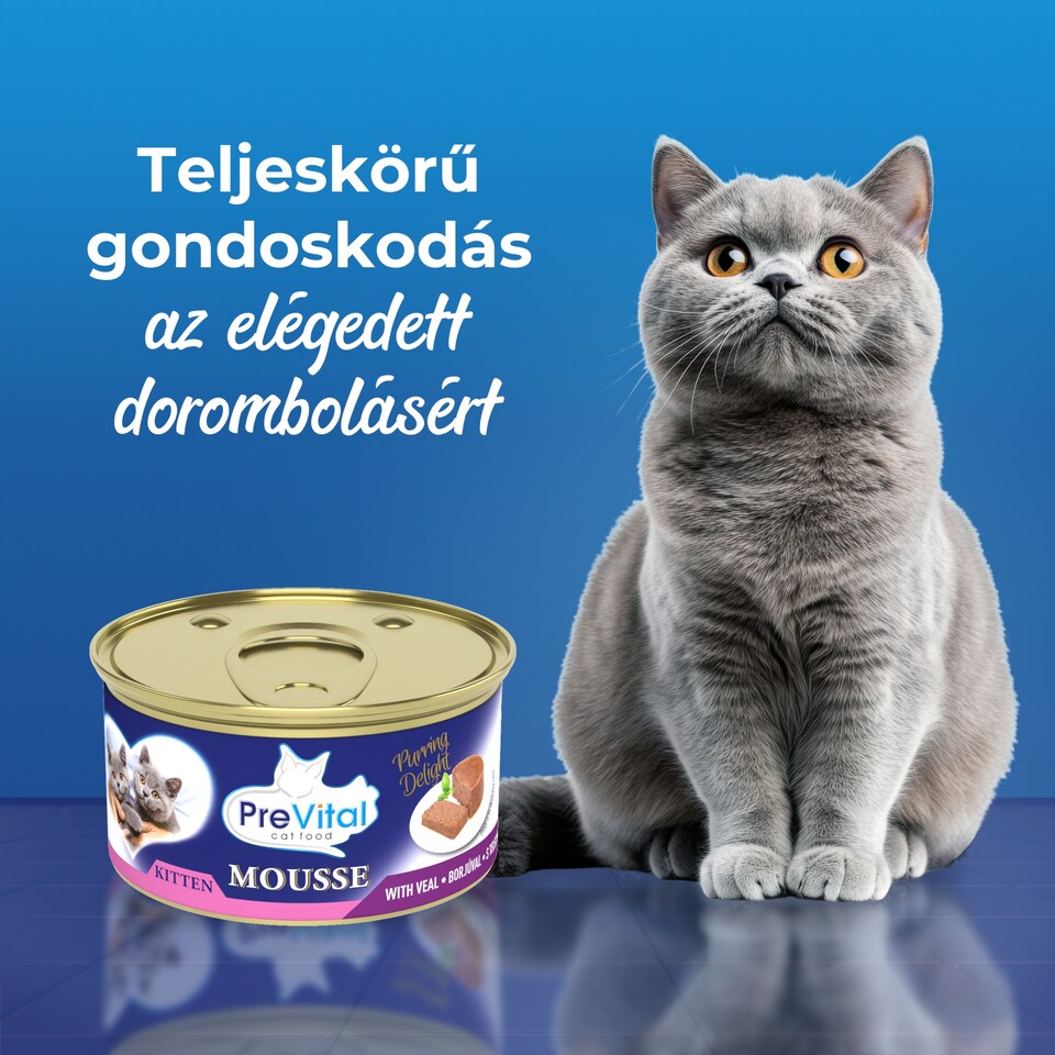 PreVital Mousse nedves macskaeledel, macskatáp kölyökmacskáknak borjúval pástétom konzerv 85 g  1. kép