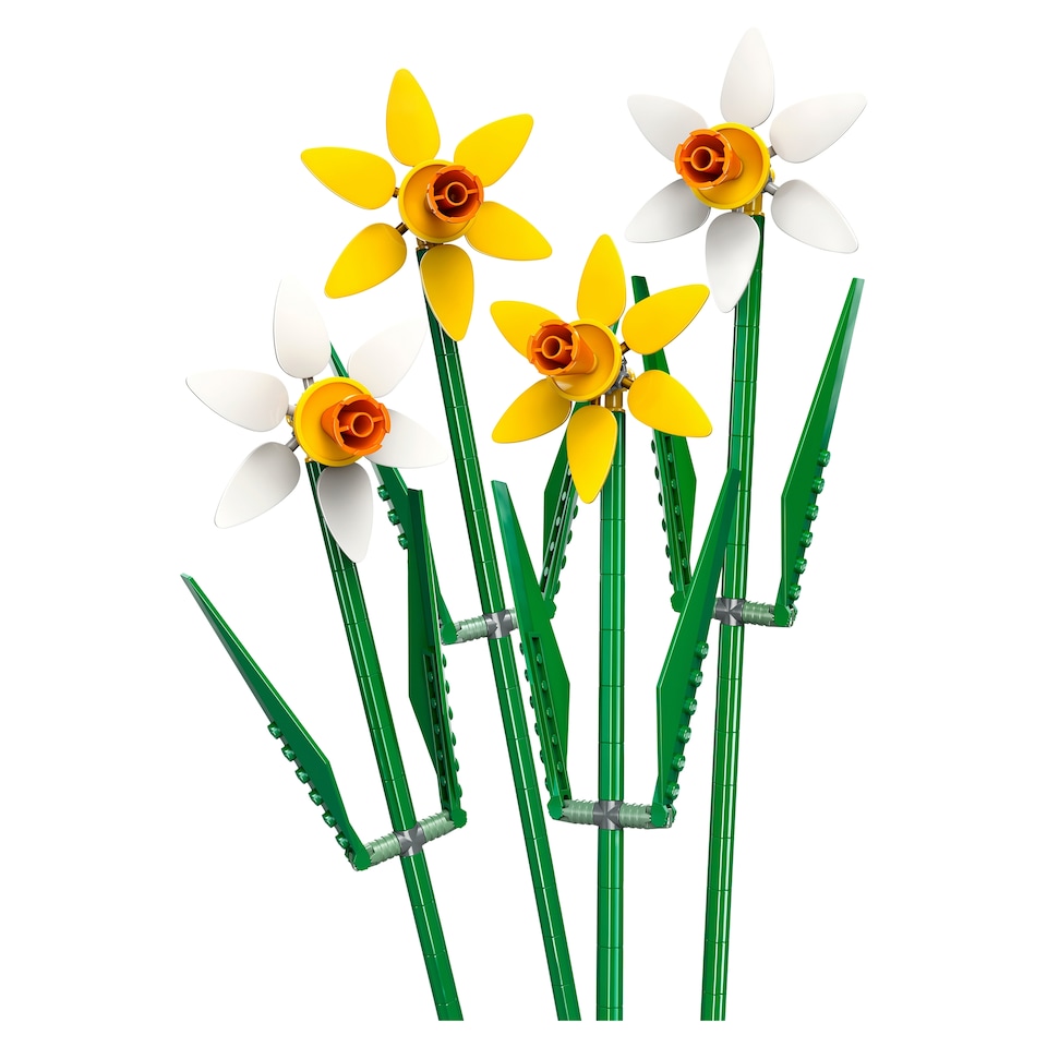 LEGO Botanicals 6476650 Nárciszok ünnepi ajándék 1. kép
