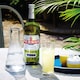 image 4 of Pernod Aniseed Liqueur 70cl