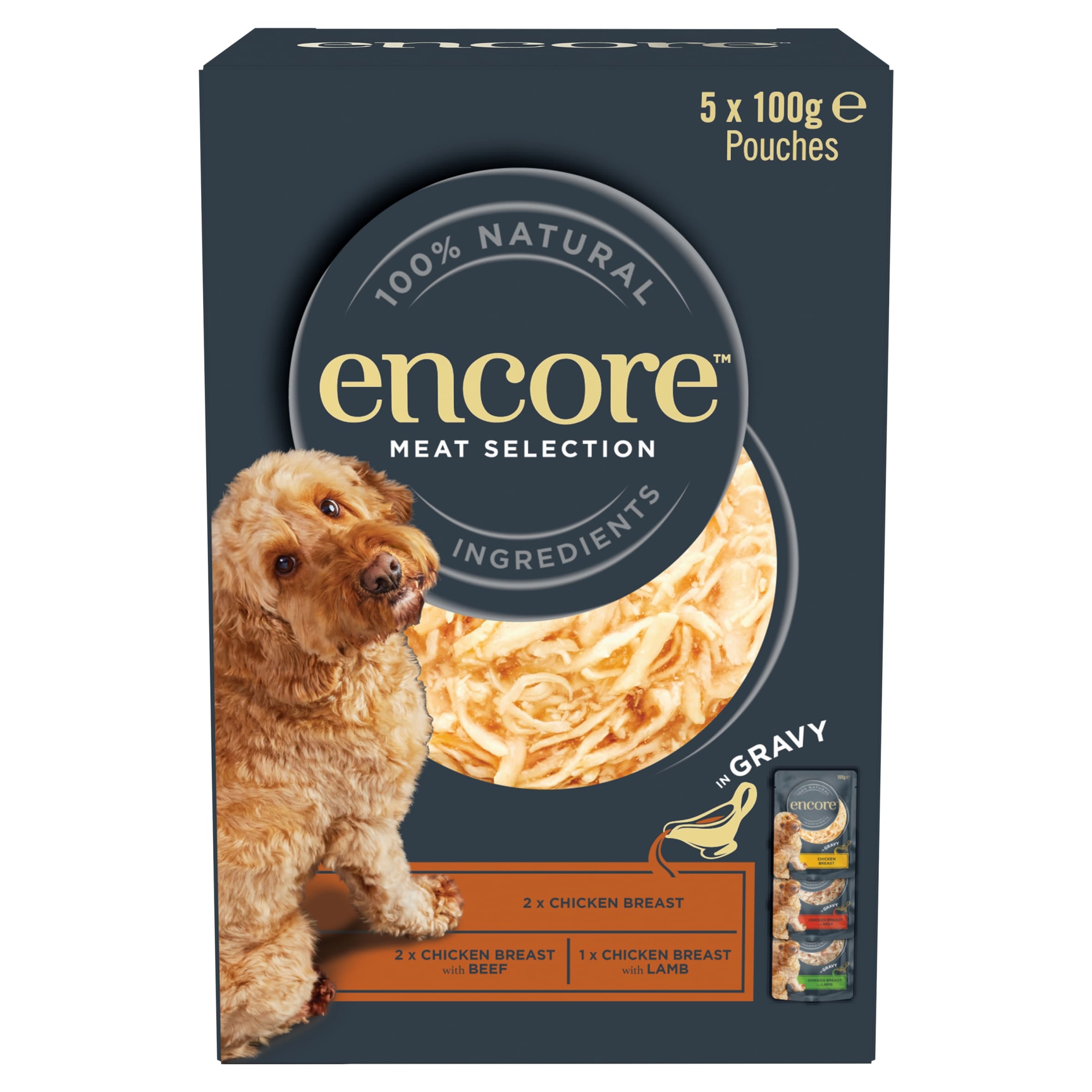 Encore Natural Wet Dog Food Meat Selection in Gravy Pouches 5 x 100g