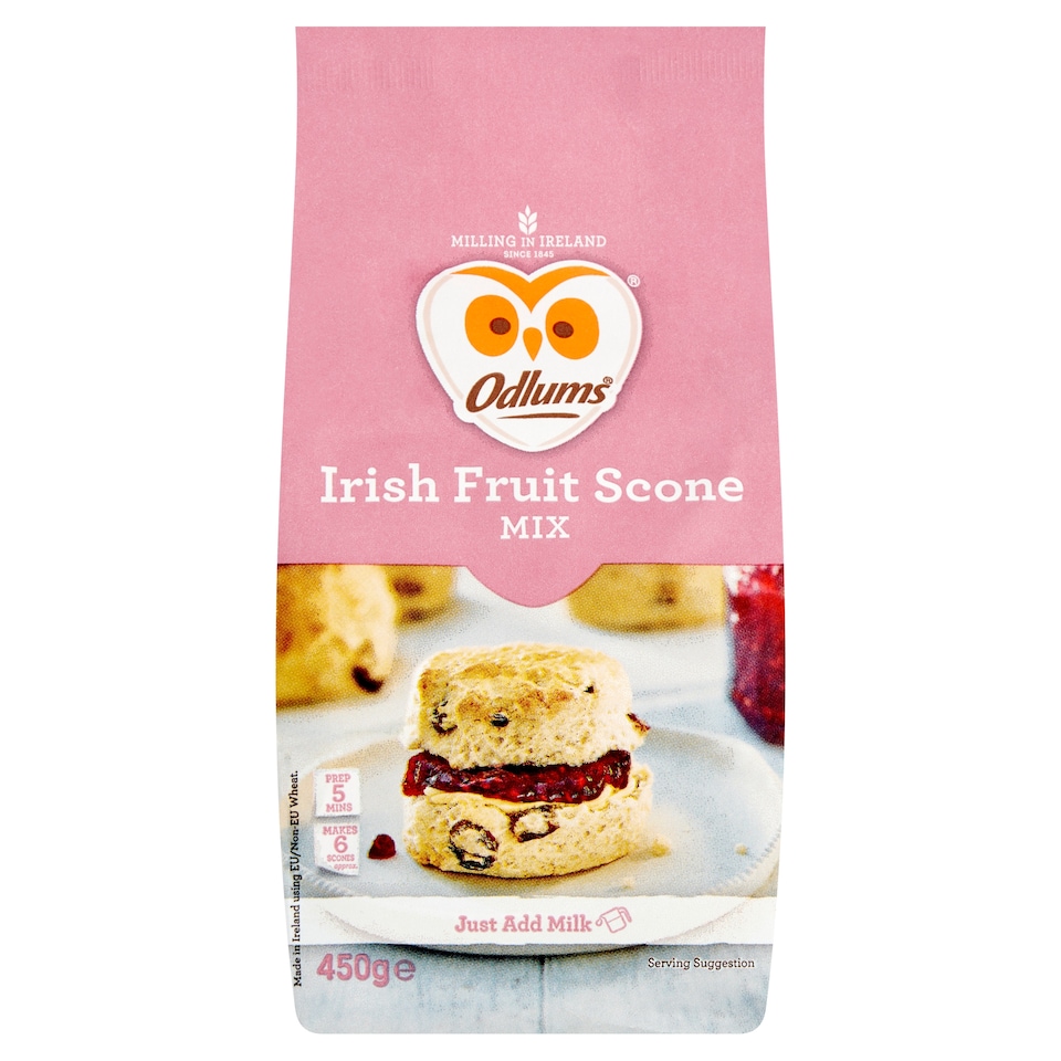 Odlums Quick Scone Fruit 450G