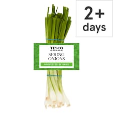 Tesco Bunched Spring Onions 100G (C)