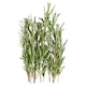 image 2 of Tesco Rosemary 20G