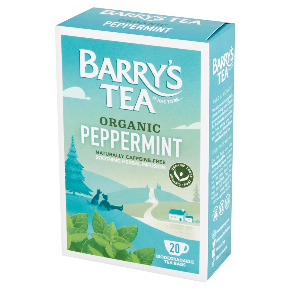 Barry's Tea Peppermint 20'S 40G