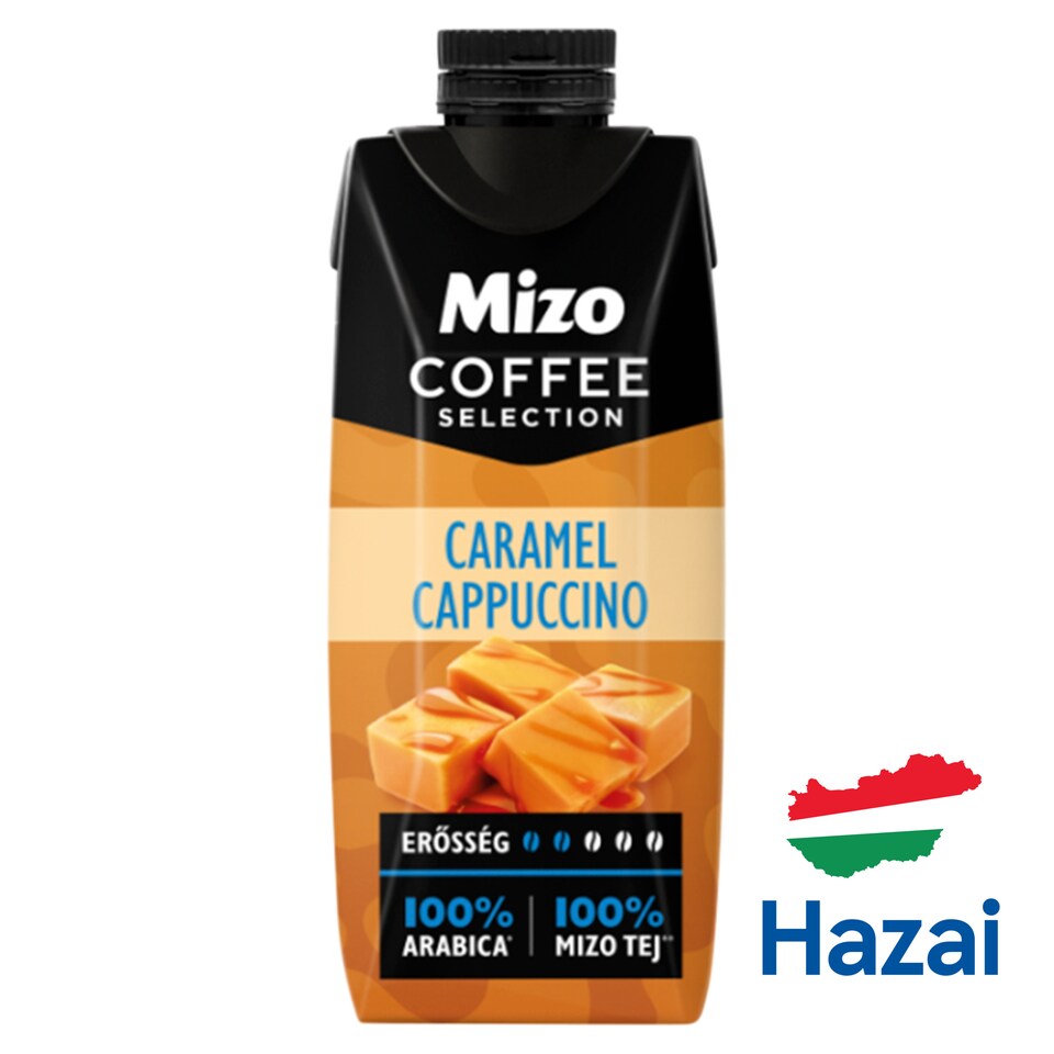 Mizo Coffee Selection Caramel Cappuccino UHT Low-Fat Coffee Milk Drink 250 ml