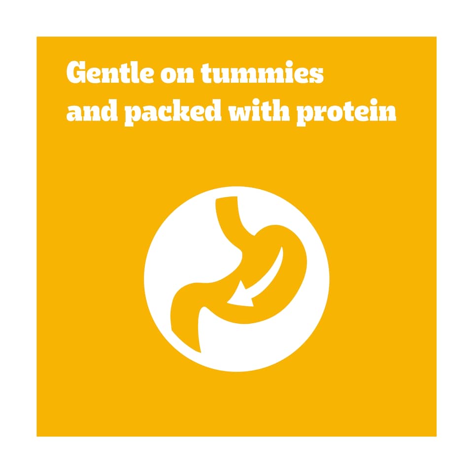 image 1 of Pedigree Ranchos Dog Treats Fillets Chicken 70g