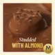 image 5 of Magnum Bonbon Salted Caramel & Almond Ice Cream Frozen Snack 204ml