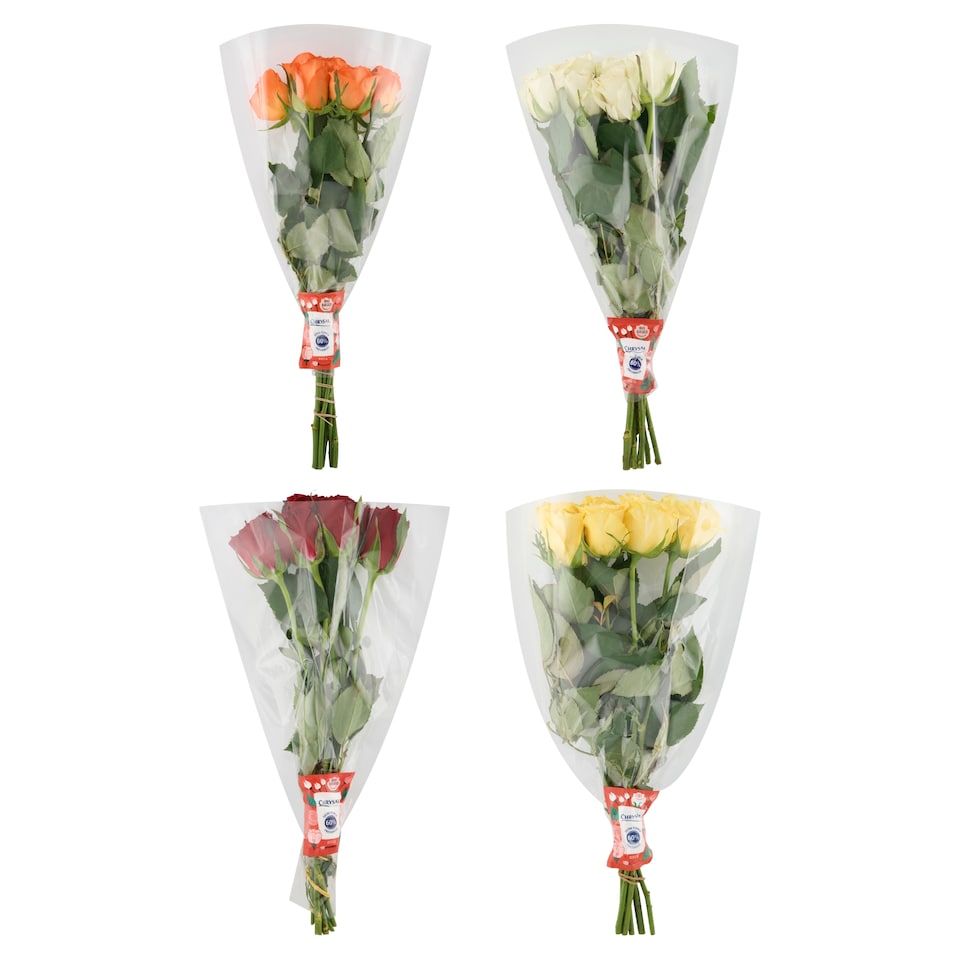 image 1 of Chrysal 7-Stem Rose Bouquet