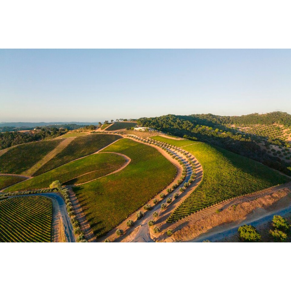 image 1 of DAOU Paso Robles Cabernet Sauvignon 75cl