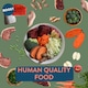 image 5 of BOOST Gently Cooked Lamb & Superfoods Meals for Dogs 400g
