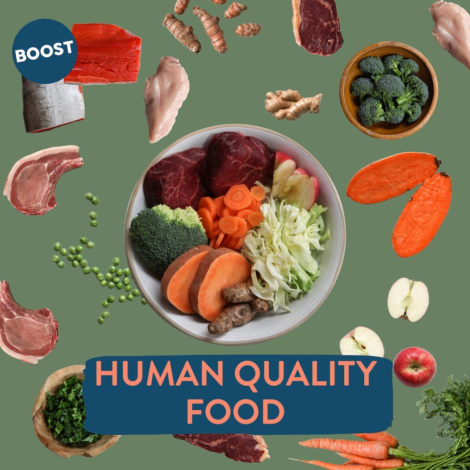 image 1 of BOOST Gently Cooked Lamb & Superfoods Meals for Dogs 400g