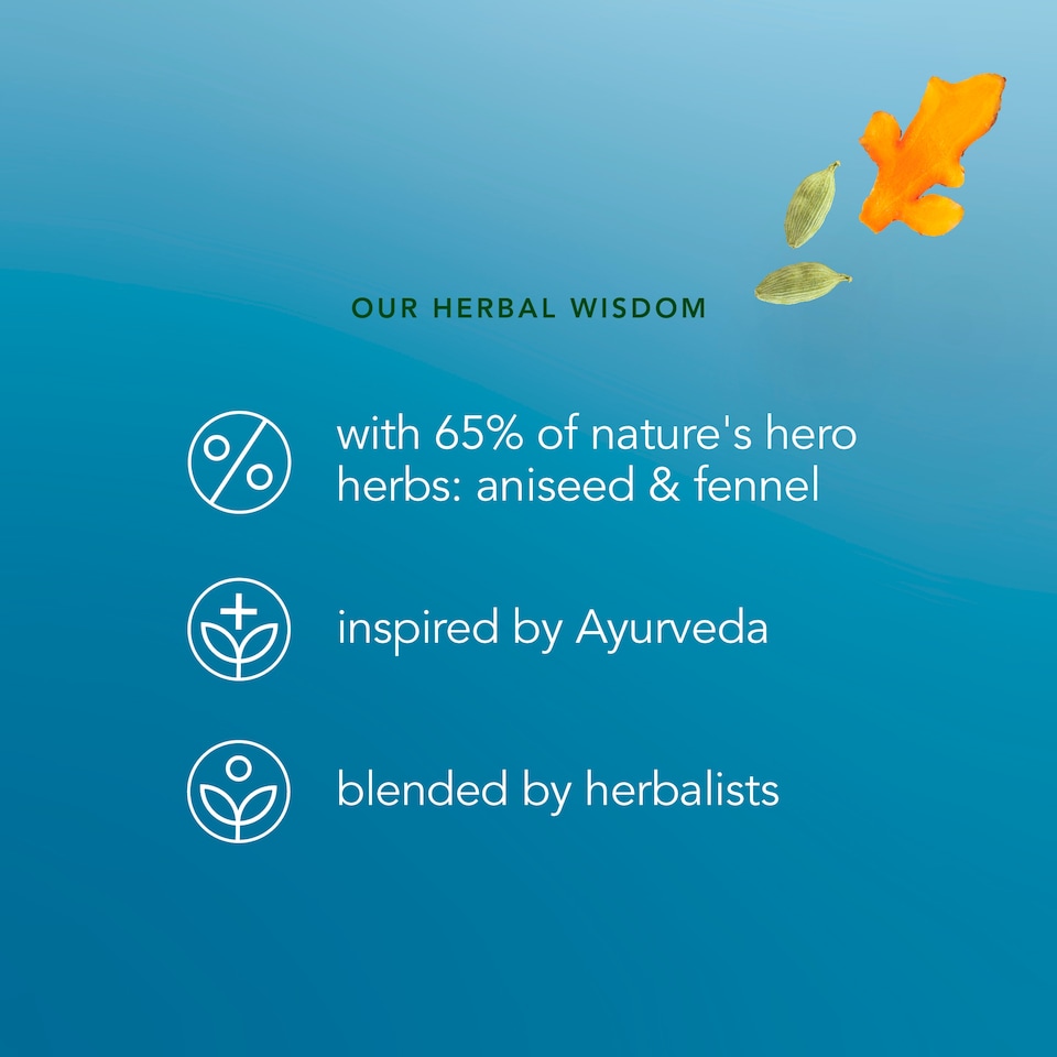 image 1 of Pukka Organic After Dinner Tea With Fennel for Digestion 20 Herbal Tea Bags 40g