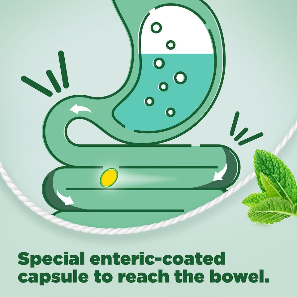 image 1 of Buscomint Peppermint Oil Gastro-Resistant Soft Capsules 24s