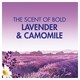 image 4 of Bold All in One Washing Pods Lavender & Chamomile 13 washes 252.2g