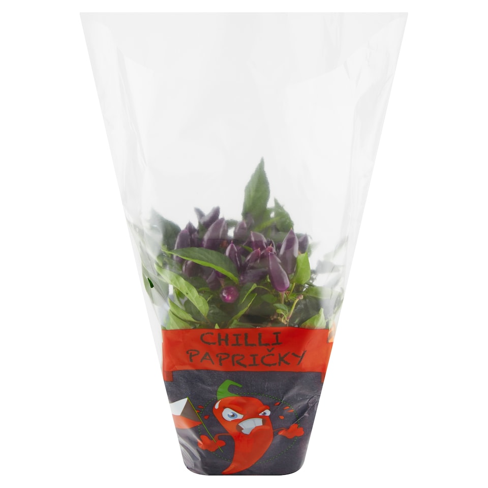 Obrázek 1 pro produkt Chilli papričky