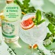 image 3 of Ceder's Wild Non-Alcoholic Spirit 50Cl