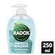 image 1 of Radox Protect & Replenish Liquid Soap Antibacterial Handwash 250ml