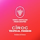 image 4 of Ciroc Tropical Passion and Lemonade 250ml