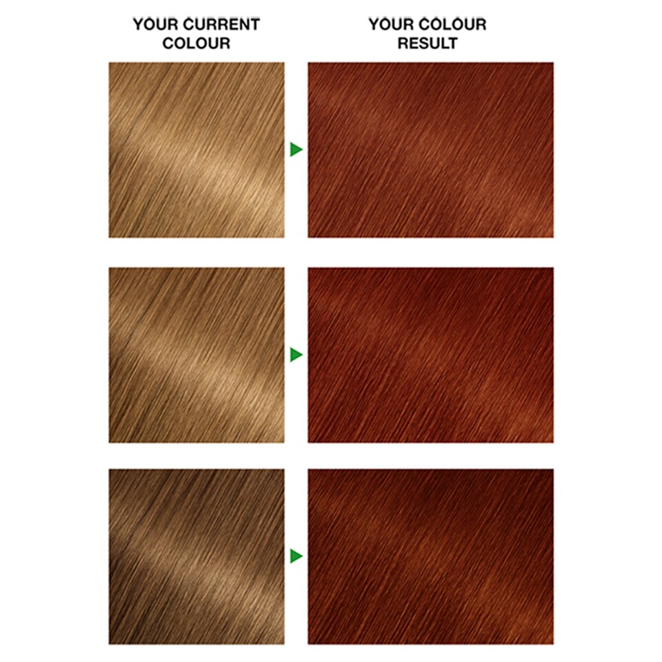 image 1 of Garnier Nutrisse 6.34 Dark Natural Red Prmt Hair Dye