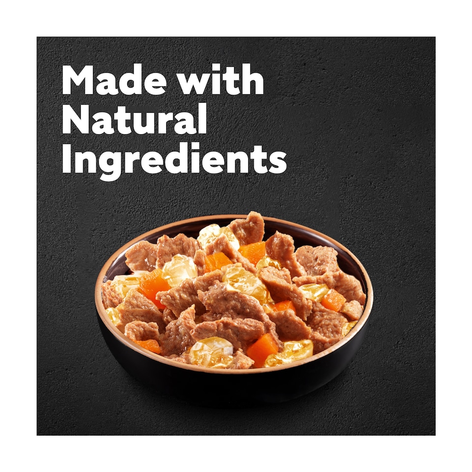 image 1 of Cesar Deliciously Fresh Wet Dog Food Pouches in Jelly 12x100g