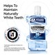 image 2 of Listerine Stay White Mouthwash 250Ml
