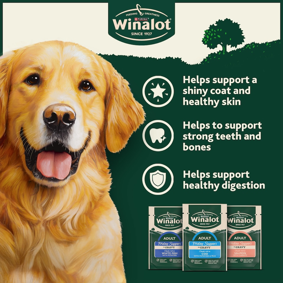 image 1 of WINALOT Friday Suppers Mixed Variety Fish in Gravy Wet Dog Food 12x100g